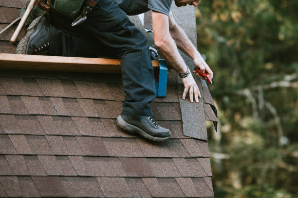 Best Metal Roofing Contractor  in Taunton, MA